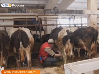 Стоп-кадр передачи «Утро России».